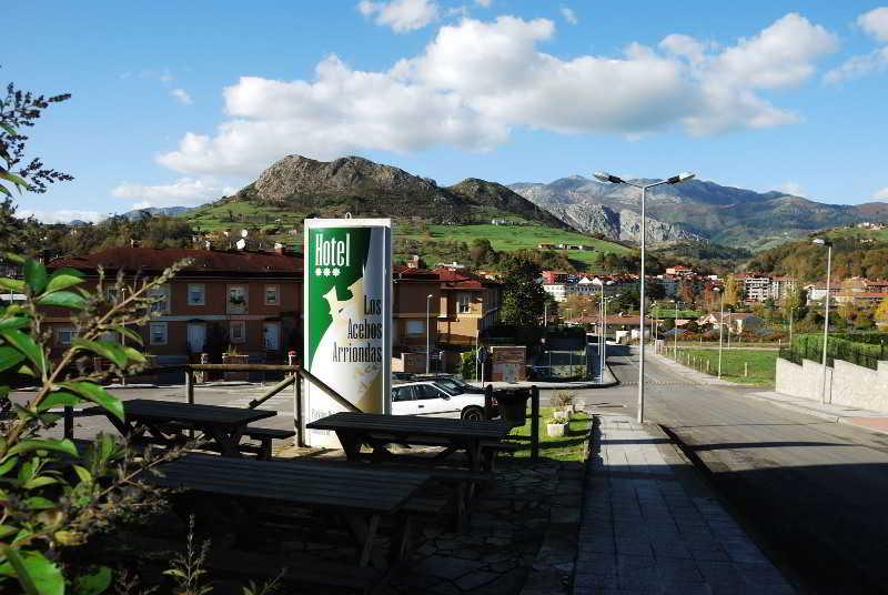 Los Acebos Arriondas Buitenkant foto